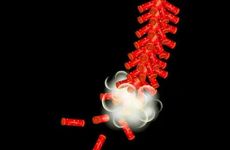 春节破五有什么讲究