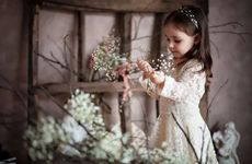 姓马的明星有哪些