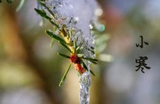 从墓地回来怎样去阴气才有效 去了公墓以后怎么去除阴气