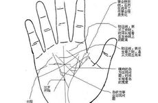 什么是断掌有什么说法吗