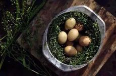 穿堂风用什么隔断最好 如何化解