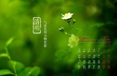 qq情侣网名一对