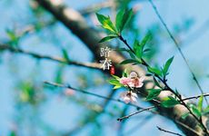 网络游戏个性昵称大全