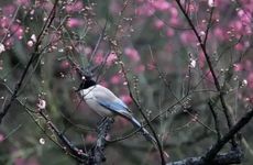 2022年前立春冷还是年后立春冷