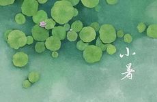 小暑三候:一候温风至 二候蟋蟀居宇 三候鹰始鸷 古之经典要懂得