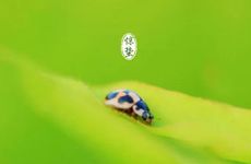 2023年进九是从哪一天算起 2023年到2024年数九时间表