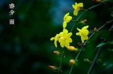 2024年春分时间几点几分几秒 2024年春分时间