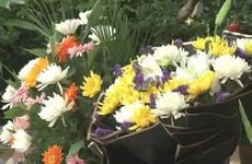 为什么大年初五对联要揭掉 可以买春联送人吗