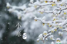 2022年小寒是几九？为什么小寒要吃糯米饭？