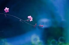 2025年立春躲春怎么躲