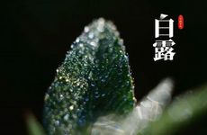 关于二十四节气的知识