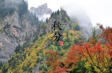 天生就是女强人的星座女