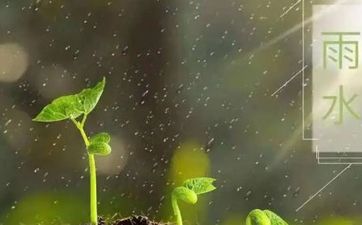 雨水是什么日子？2022年雨水节气卦象吉利吗？
