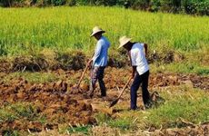 倒春寒2023年时间是何时 怎么做预防倒春寒