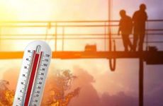 带赛字干鲜菜门市名人气好的