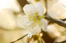 两个人相克一般都有什么预兆呢？