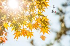 七月半回娘家会怎样