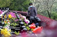 2026年2月5日安坟吉利吗