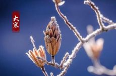 青龙方是家里的什么方位