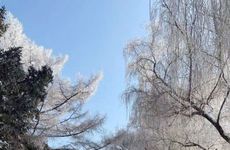 5月旅游最适合的城市 五月份旅游地最佳推荐