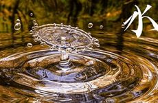 82年大海水命适合做什么生意 渔业生意提升人脉