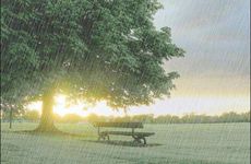 人缘最差极不好相处的四个星座