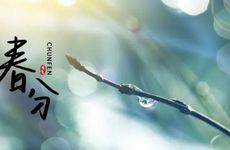 广西春分民俗扫墓吗 春分吃什么食物