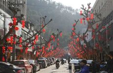 母亲节的节日风俗 母亲节好听祝福语