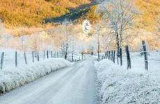 1月2日是什么星座