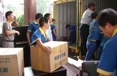 01年蛇男和98年虎女配吗 欢喜冤家甜甜蜜蜜