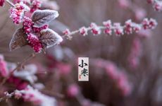 2022壬寅年八月初三理发剪头发吉利吗