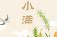 小满节气的饮食习俗及养生要点