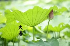 梦见掉牙是什么预兆?