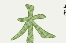 五行属木的公司怎么起名最温暖