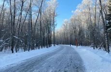 梦见怪兽怎么回事 梦见怪兽有什么预兆