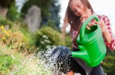 2022年平安夜是什么时候哪一天 平安夜和圣诞节哪个重要？