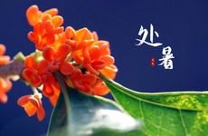 处暑节气的传统习俗及传统美食