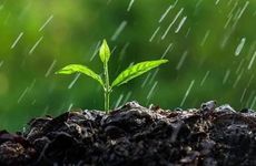 雨水节气有什么养生禁忌