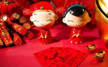 家里客厅摆什么绿植合适 招财树八面招财