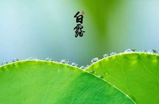 2024白露节气适合开业吗 白露是吉日吗