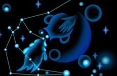 水瓶座偏爱哪个星座?