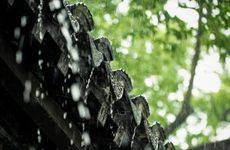 2022年秋分伏萝卜二伏菜三伏里头种白菜 顺应时令耕种