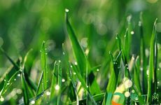 2022年谷雨节气是几月几号 适合开工装修吗