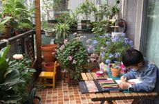 家中财位摆放五宜五忌