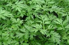 五一劳动节送男朋友什么礼物？2023五一劳动节热门景点推荐