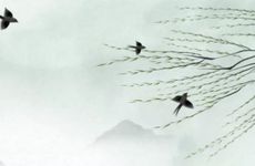 喜欢粉色 少女心会泛滥的星座女