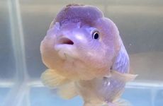 关于农村房屋建设的风水