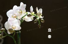 大年初五破五与人日的风俗