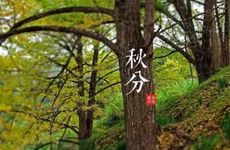 梦见解大便是什么意思 周公解梦