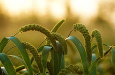 立秋天气会凉快点吗 立秋太阳直射点位置